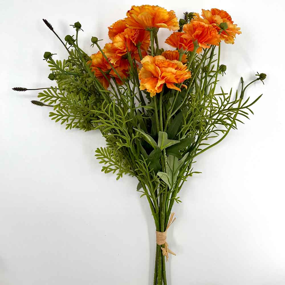 MC22-04159 Carnation with Grass