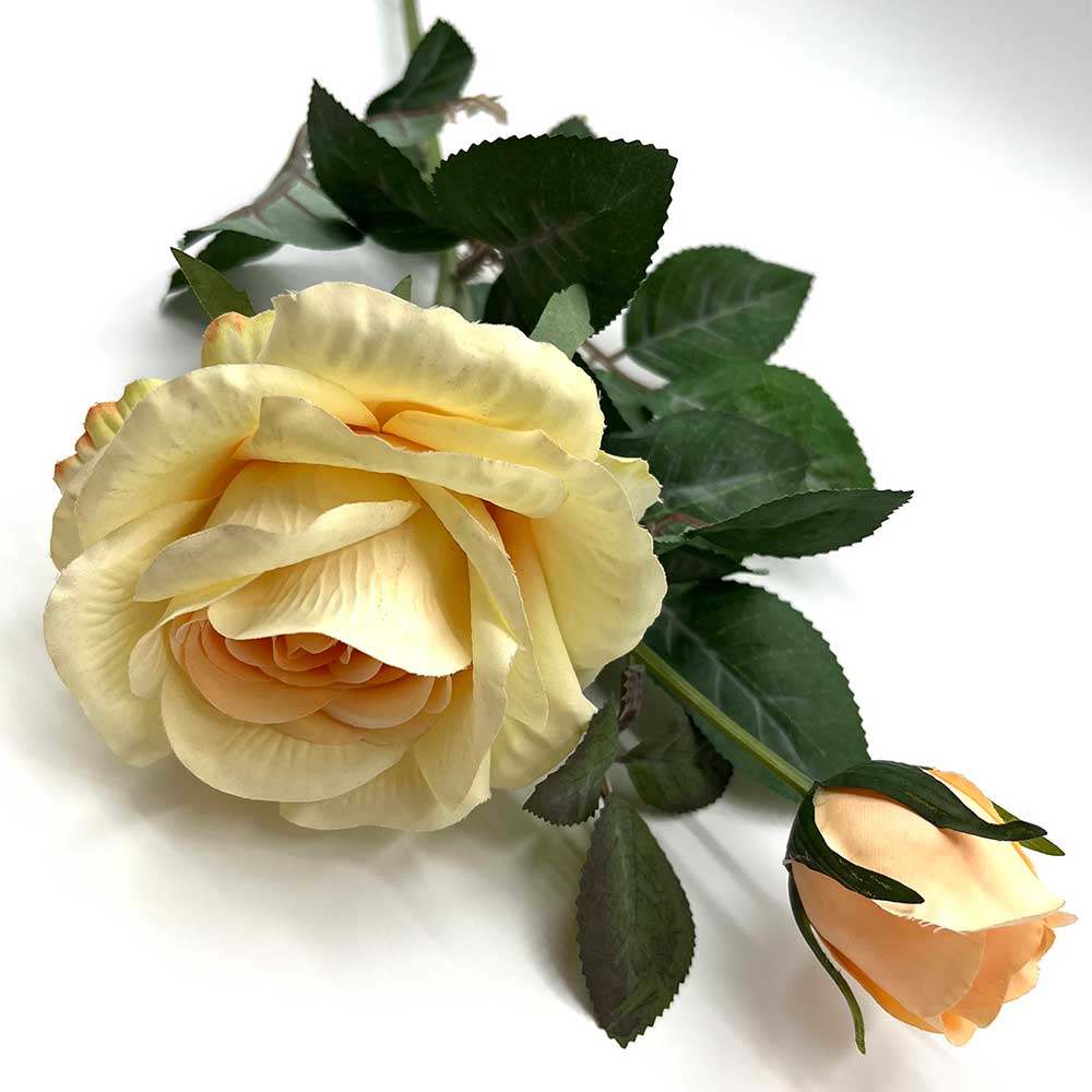 MC22-04089 2-Branch Rose