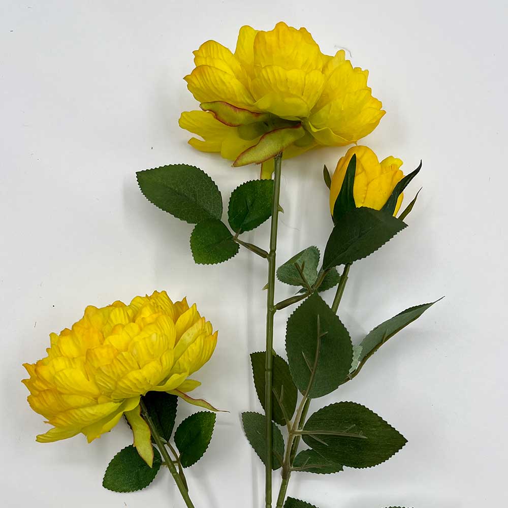 MC22-04164 3-Branch Peony