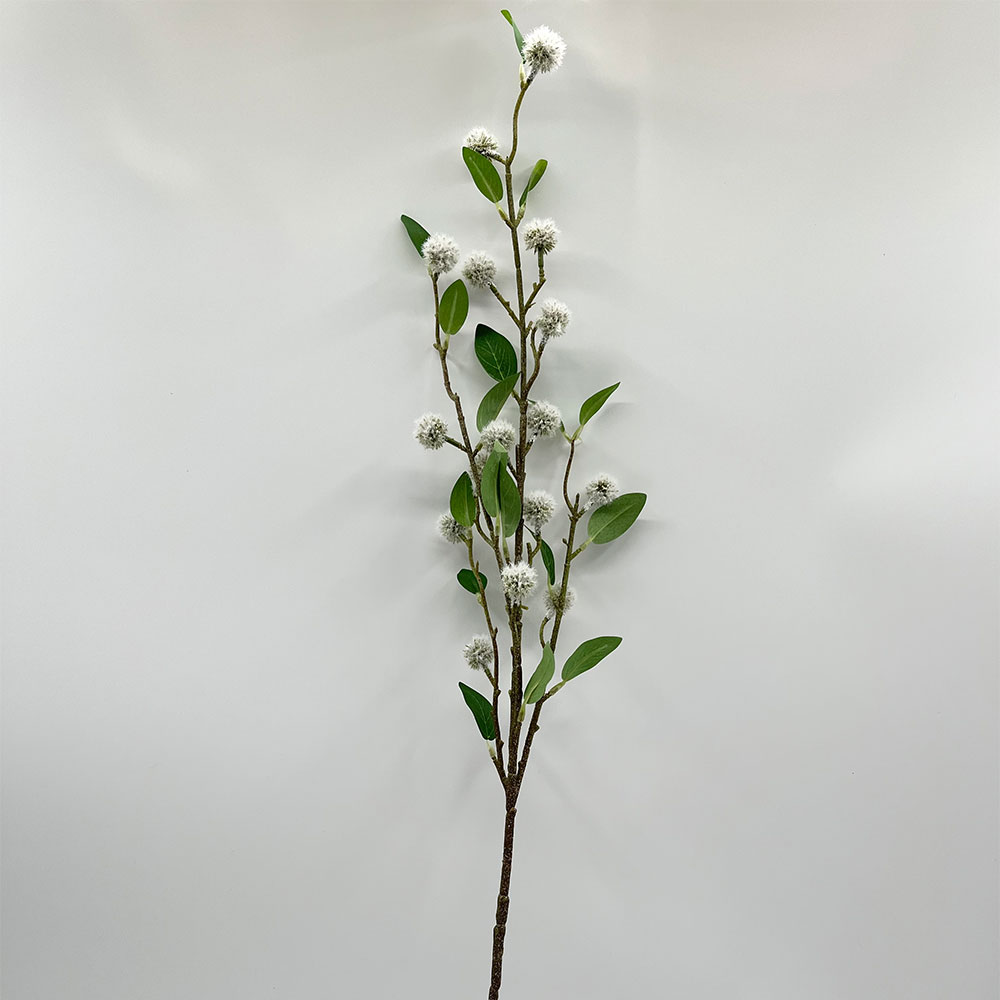 MC22-04083T Safflower Stem