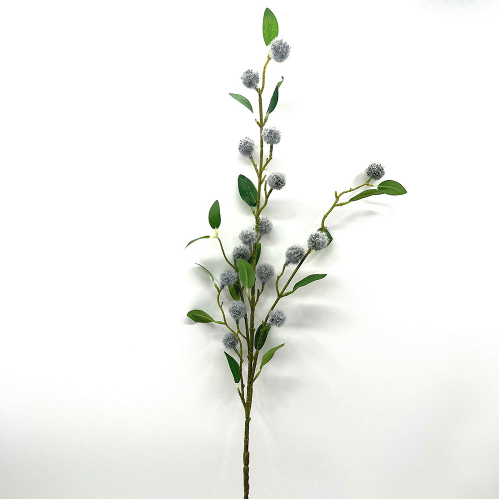 MC22-04105 Safflower Stem