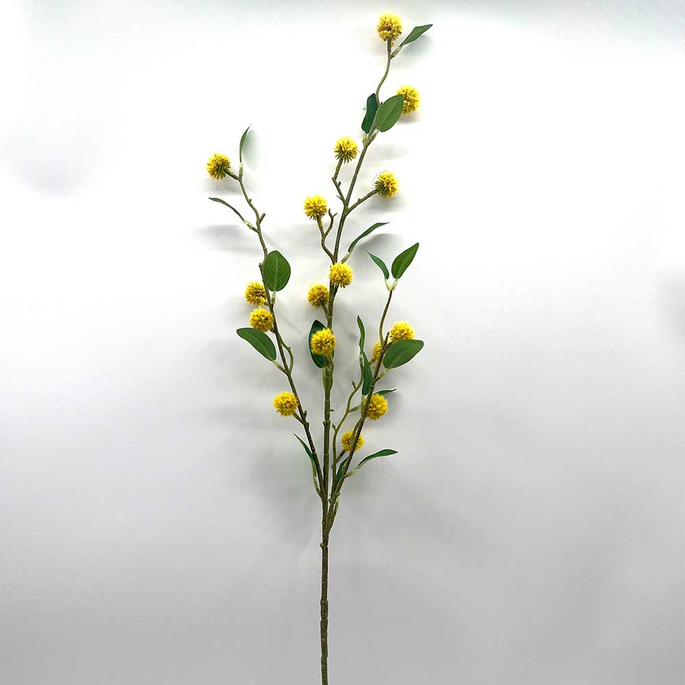 MC22-04105 Safflower Stem
