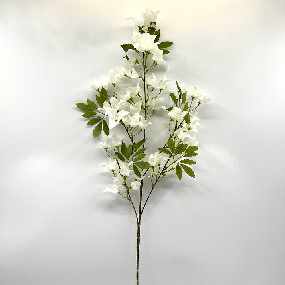 MC22-04116 Bougainvillea Stem