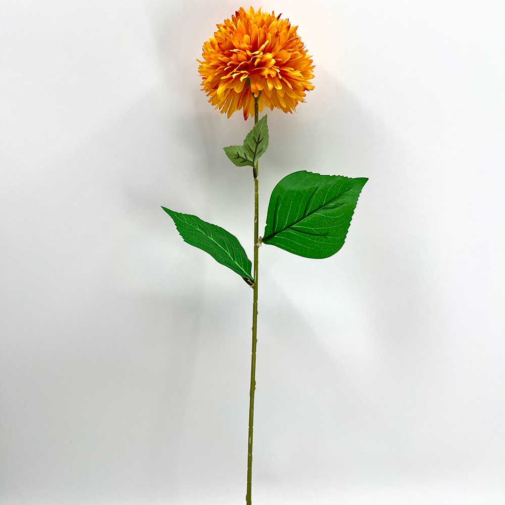 MC22-04171 Chrysanthemum