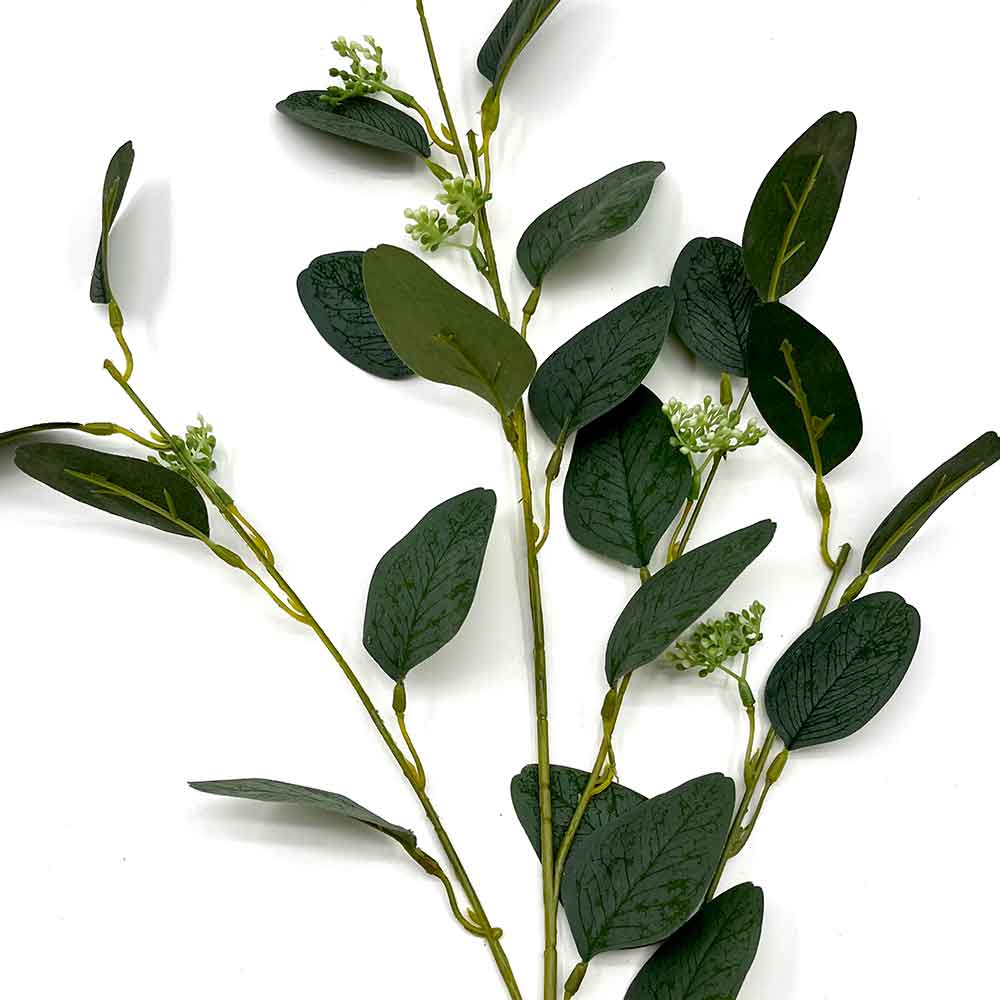 MC22-04010 Mini Eucalyptus