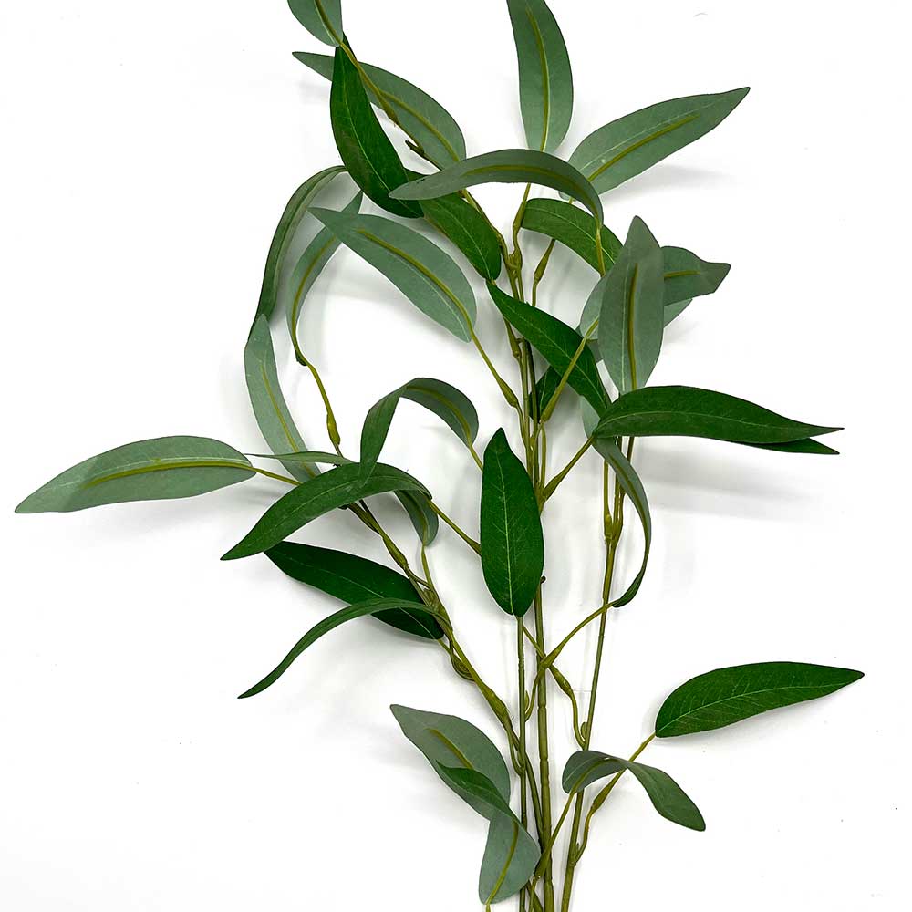 MC22-04014 5-Branch Eucalyptus 
