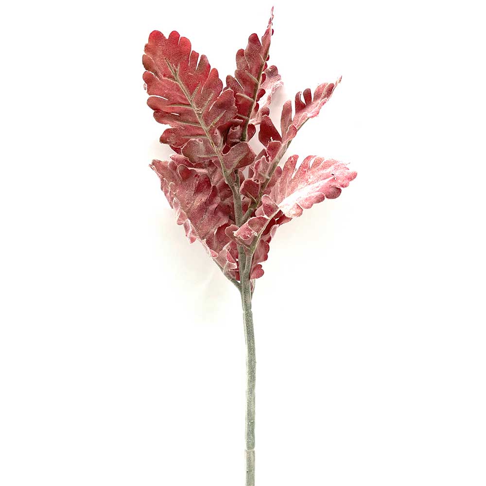 MC22-04053 Short Dusty Miller