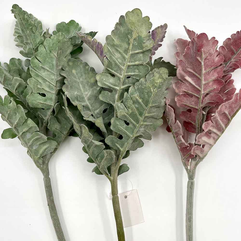 MC22-04053 Short Dusty Miller