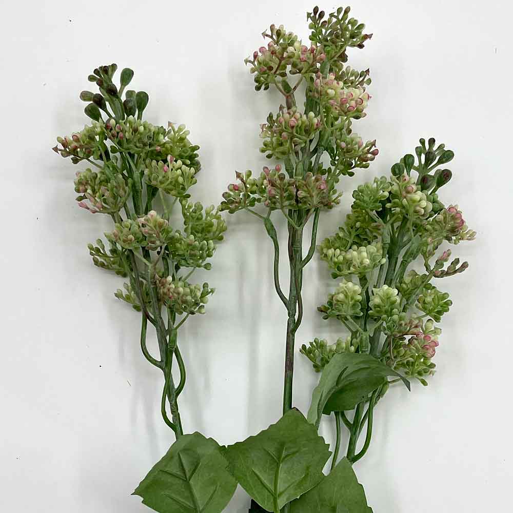 MC22-04168 Berry Stem