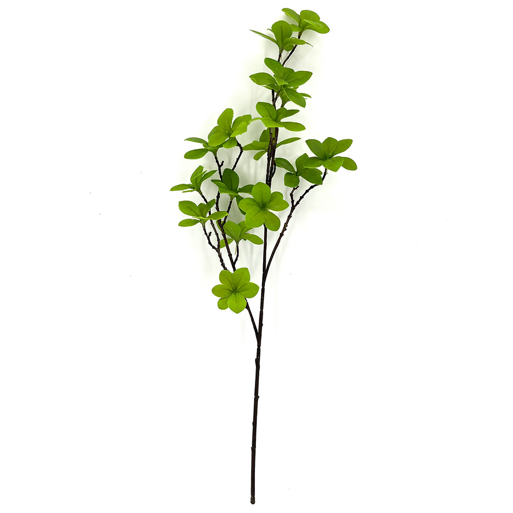 MC22-04205 Enkianthus Stem