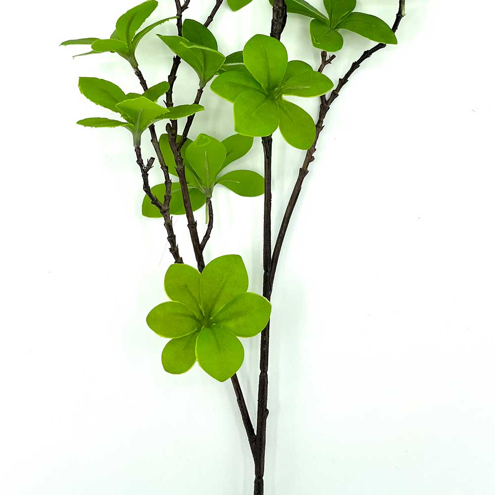 MC22-04205 Enkianthus Stem