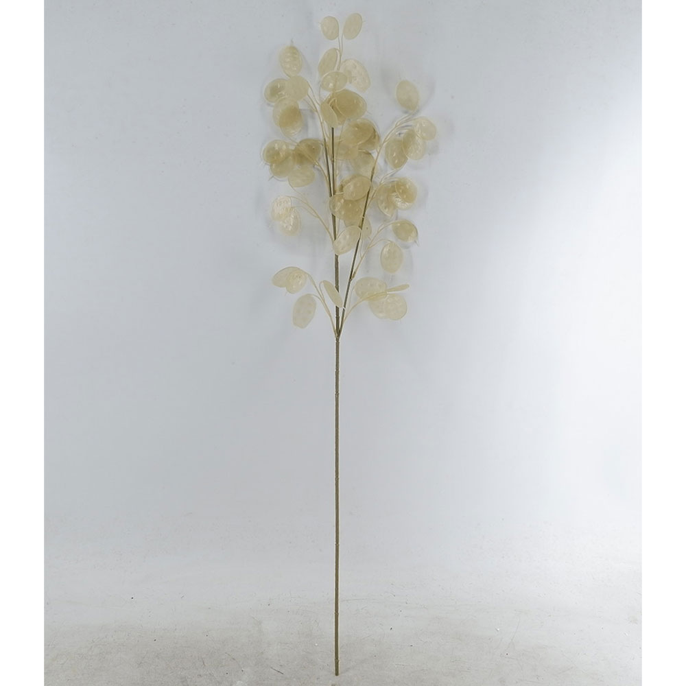 MC22-11687 White flat leaves stem