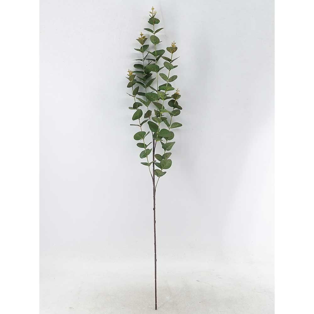 MC21-10628 Leaves stem