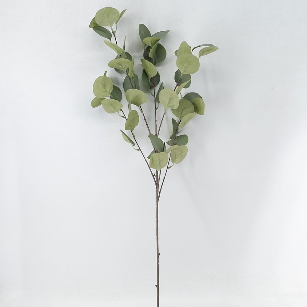 MC21-10627 Leaves stem