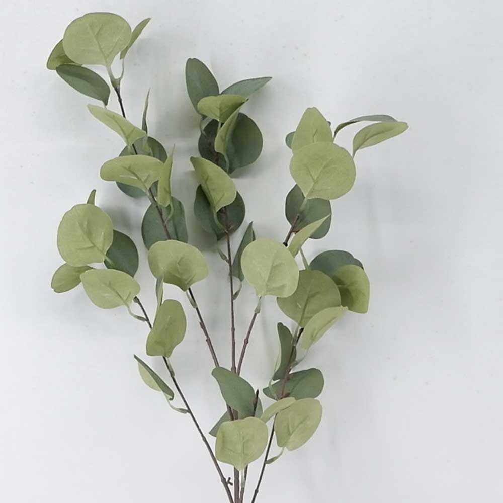 MC21-10627 Leaves stem