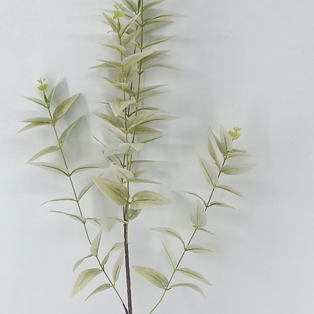 MC21-10632 Leaves stem