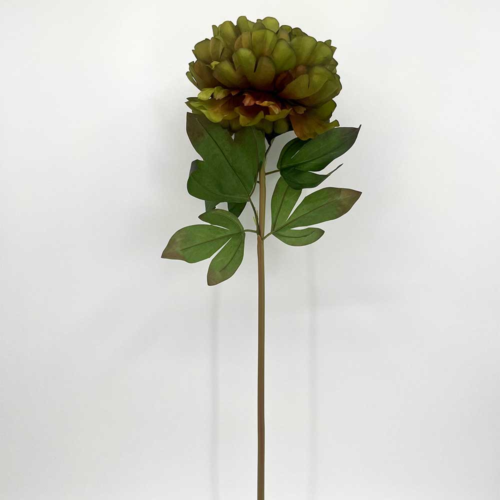 MC22-04228 Autumn Paeonia Stem