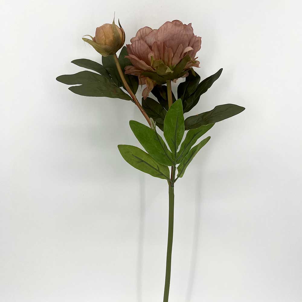 MC22-04229 Autumn Paeonia Stem