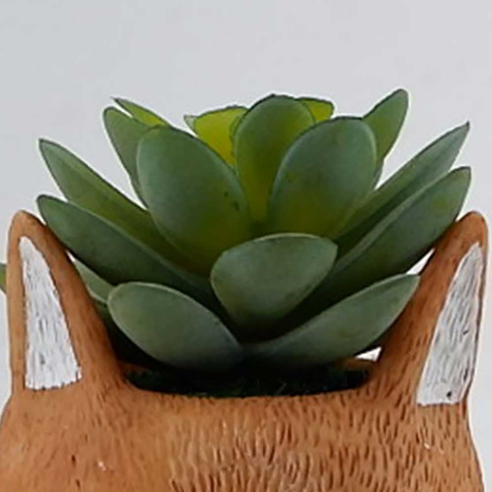 MC22-11880SZ 5＂H Succulent in resin pot