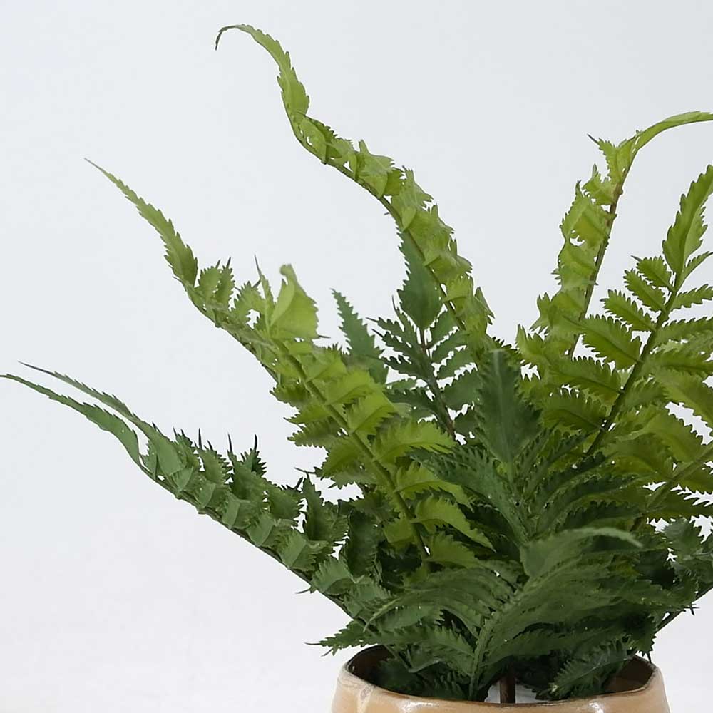 MC20-8835P 12＂H Fern