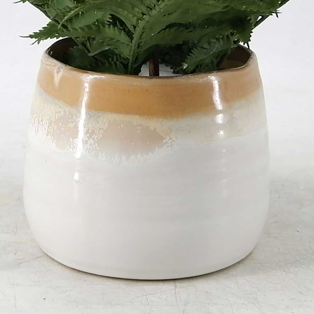 MC20-8835P 12＂H Fern