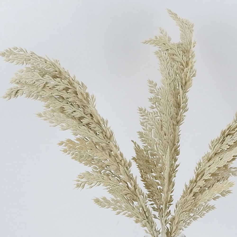 MC20-9407B Wheat head