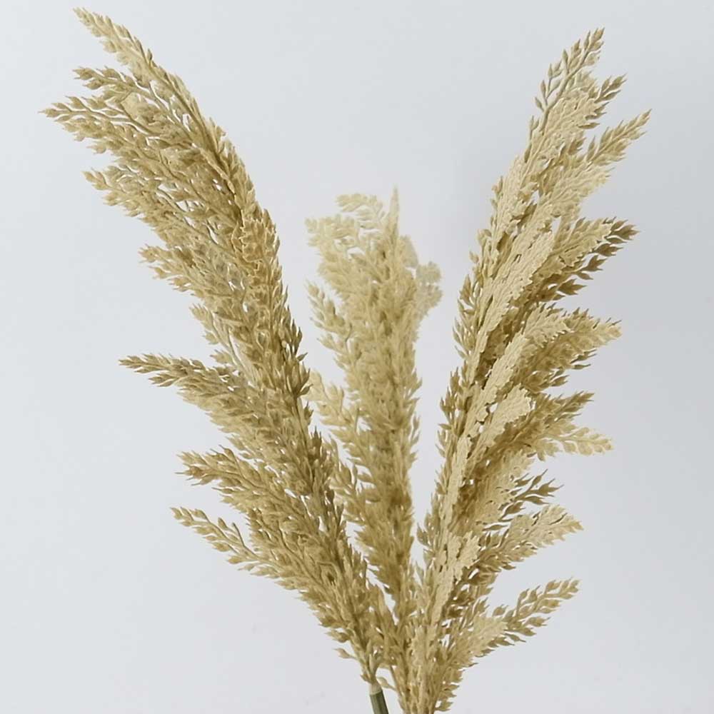 MC20-9487P Wheat head