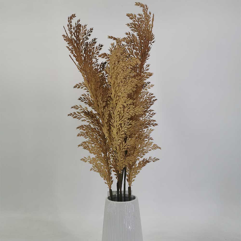 MC20-9569P Wheat head