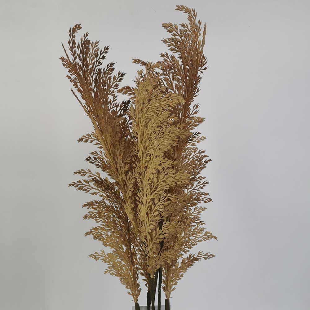 MC20-9569P Wheat head
