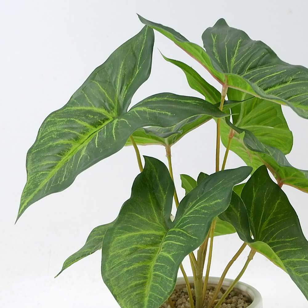 MC21-11294P 12.5＂H Leaves