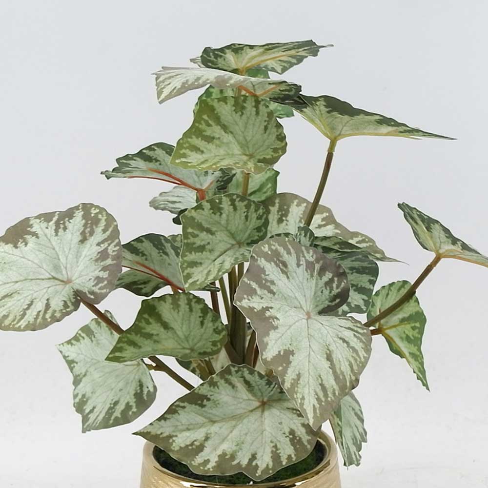 MC21-11324P 15.5＂H Leaves