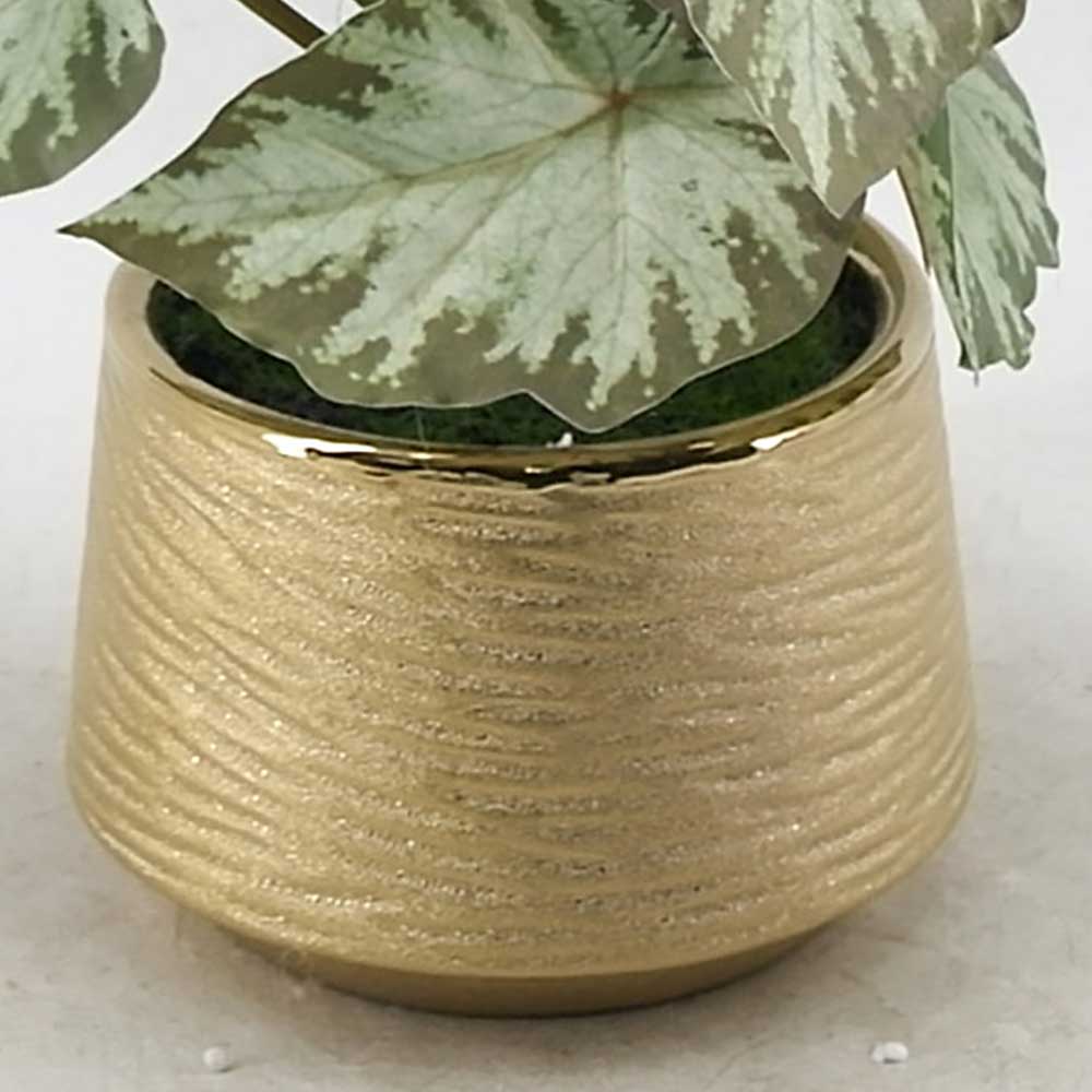 MC21-11324P 15.5＂H Leaves