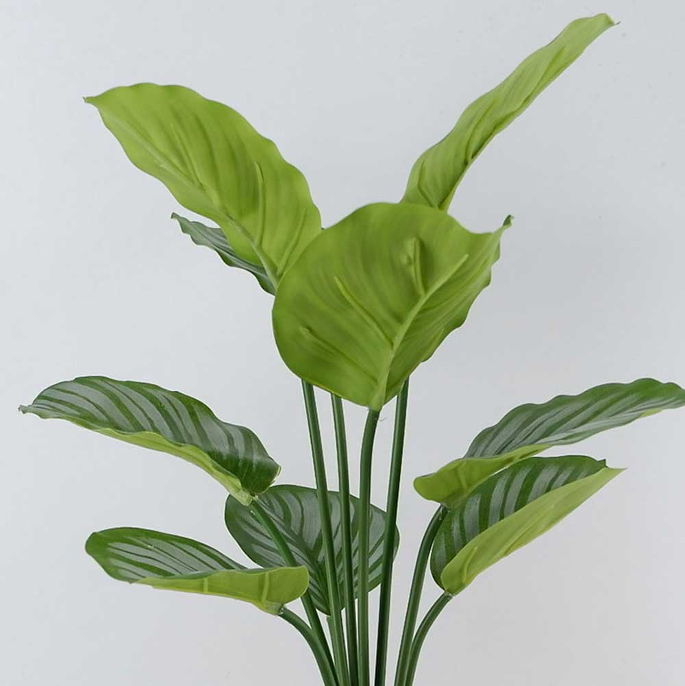 MC22-12097P 19＂H Monstera