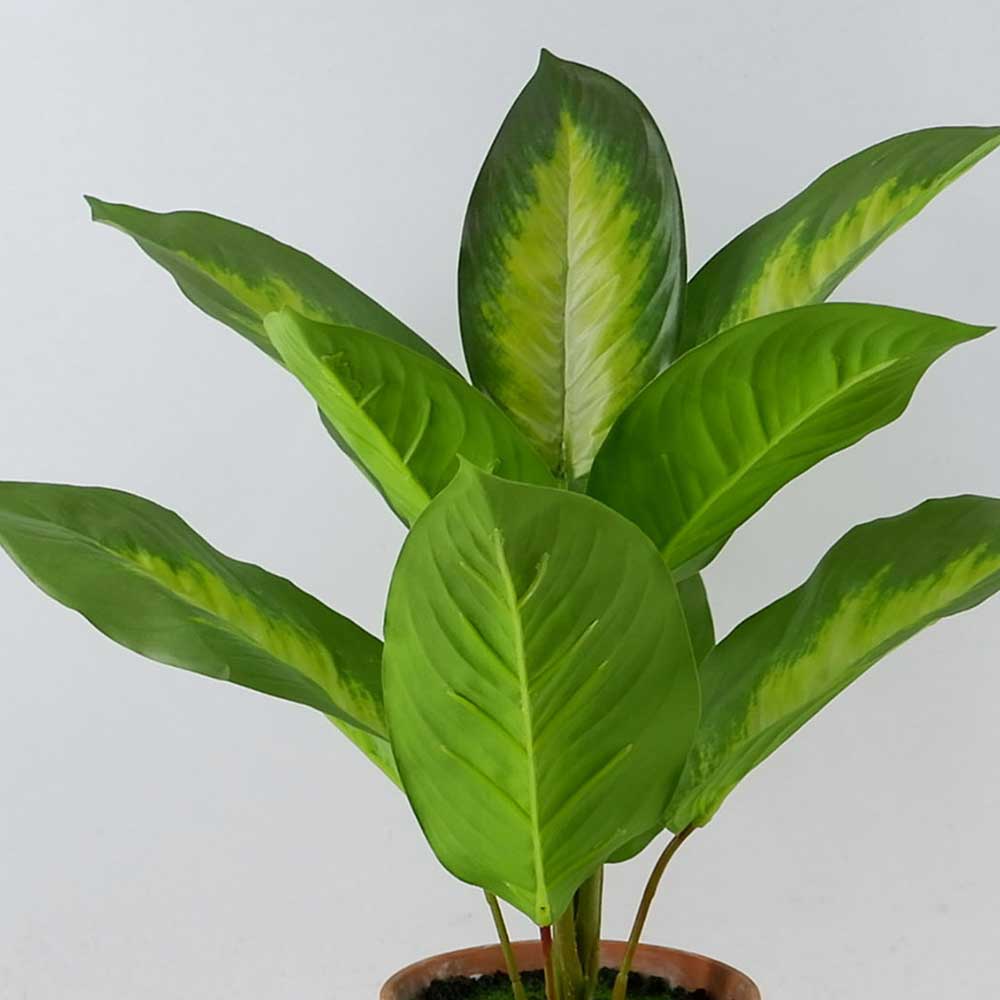 MC21-11482P 19＂H Leaves