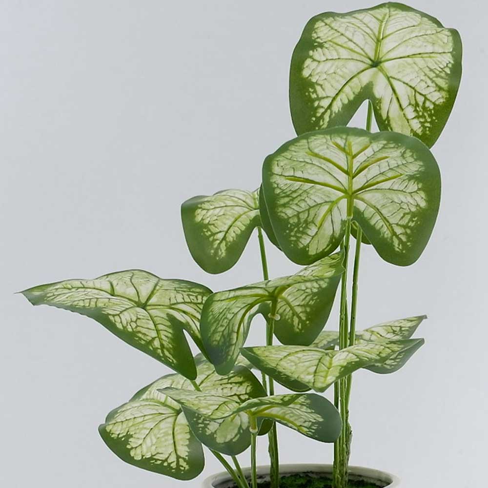 MC22-12122P 17＂H Leaves