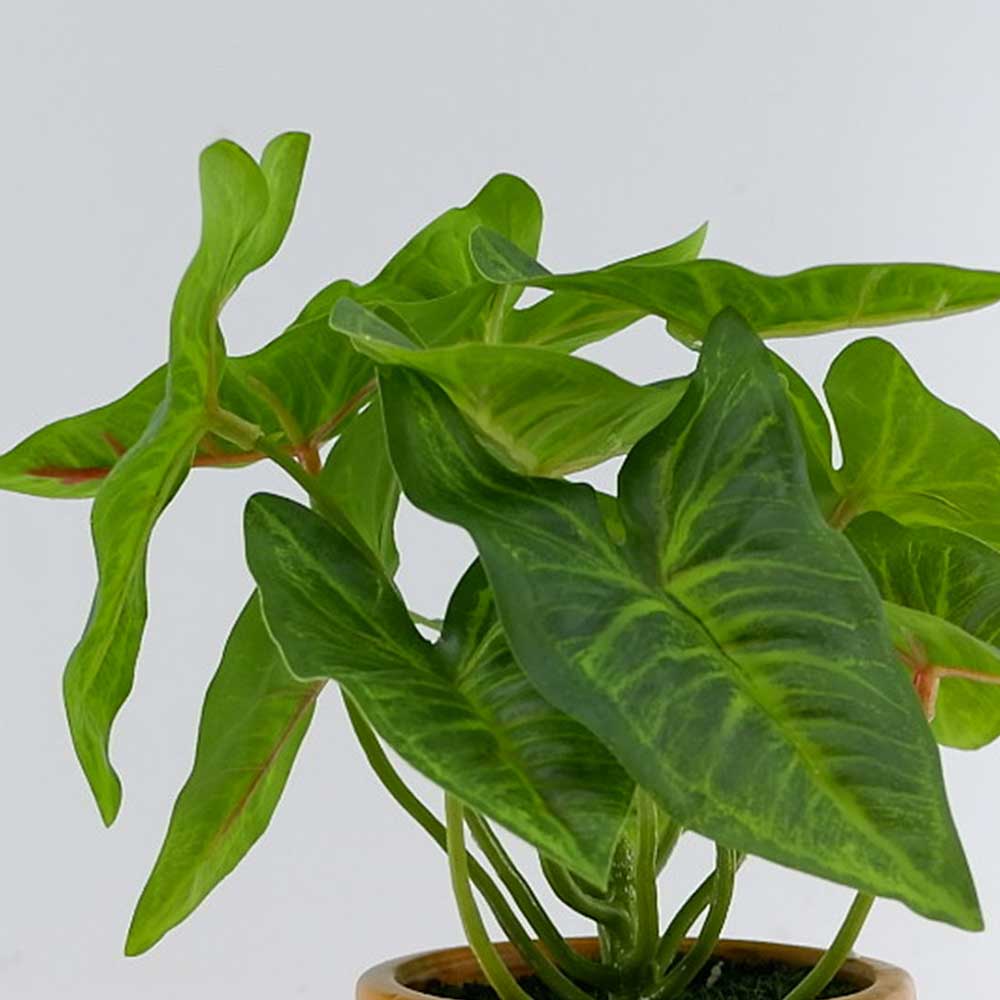 MC22-12159P 10.5＂H Leaves