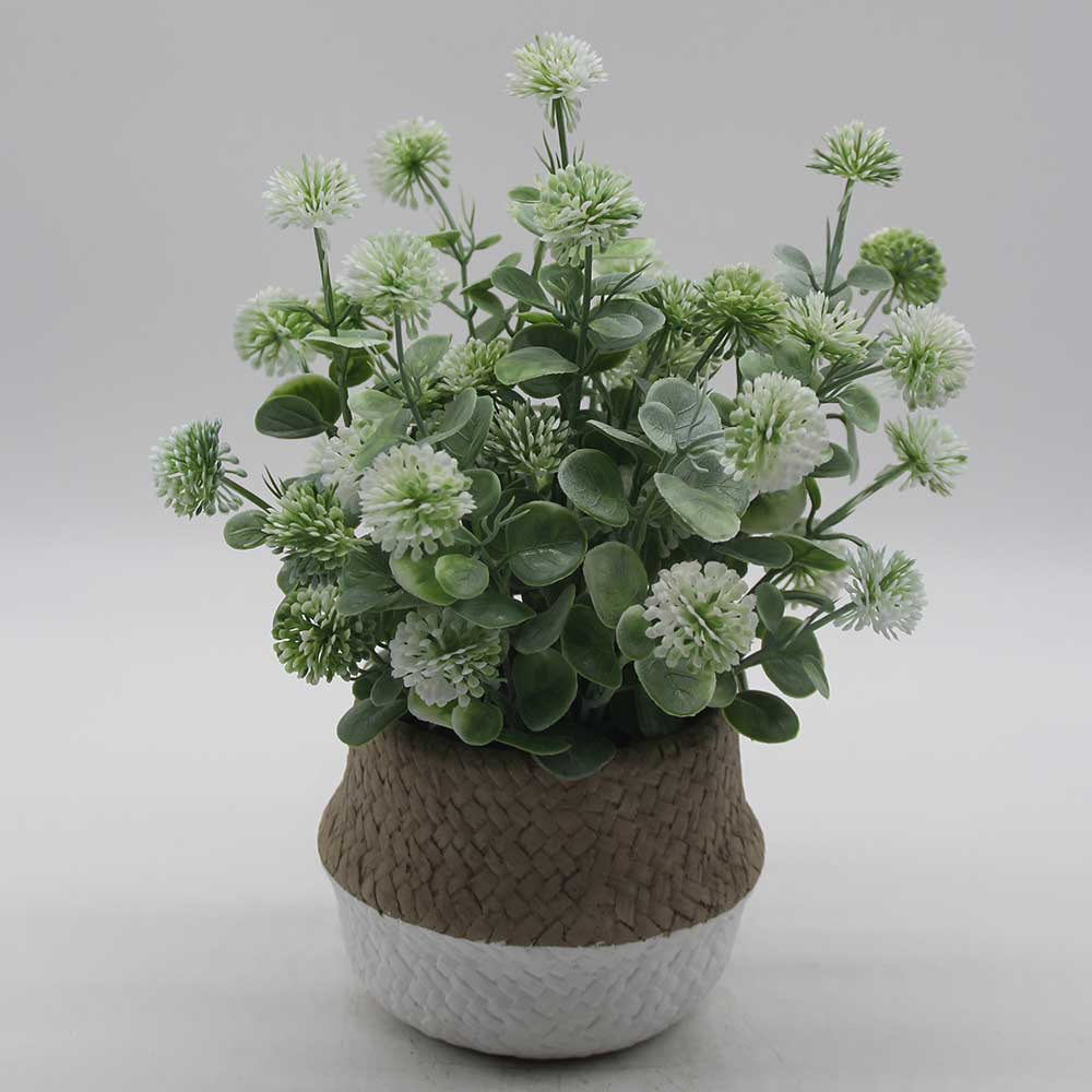 MC0015 Grass in Pot
