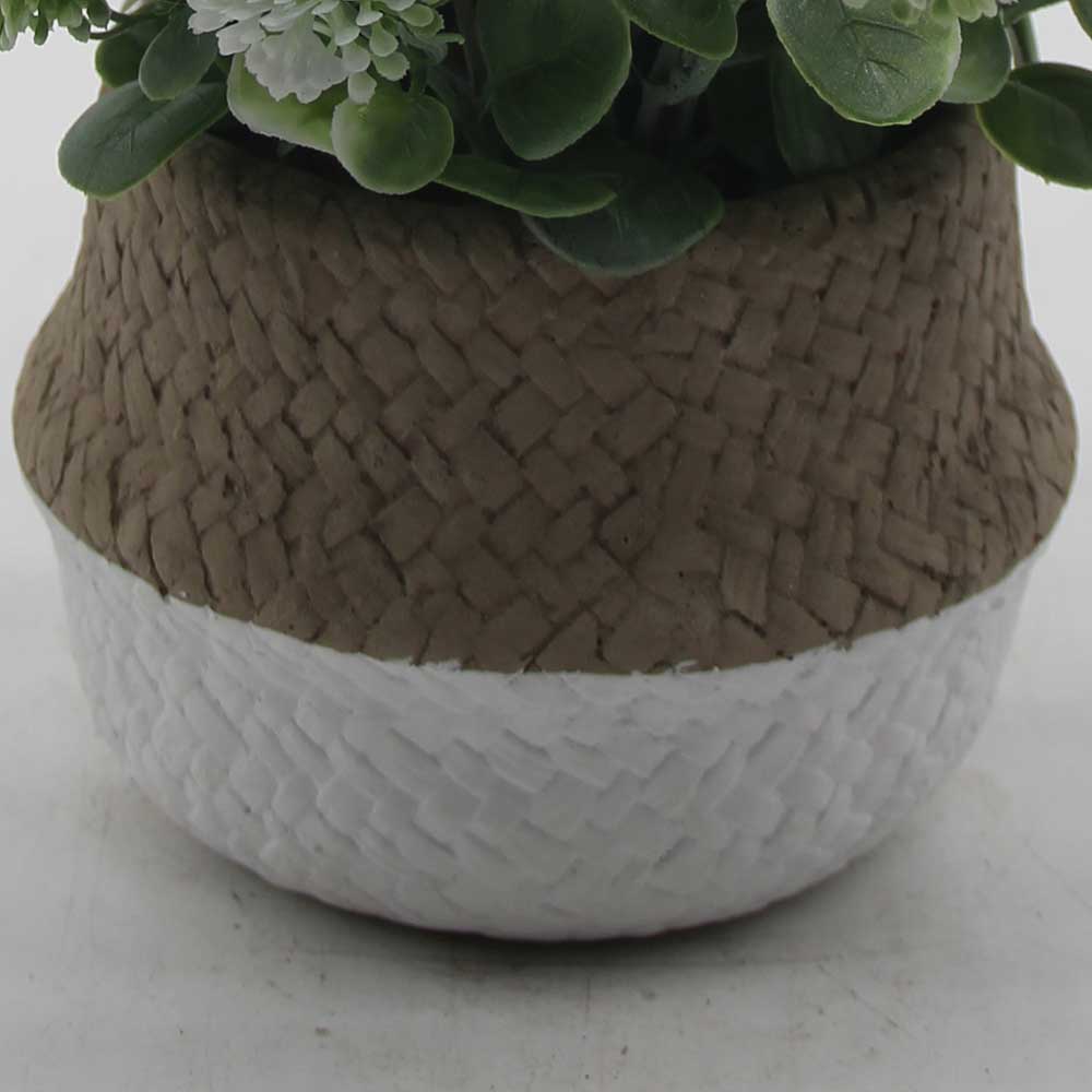 MC0015 Grass in Pot