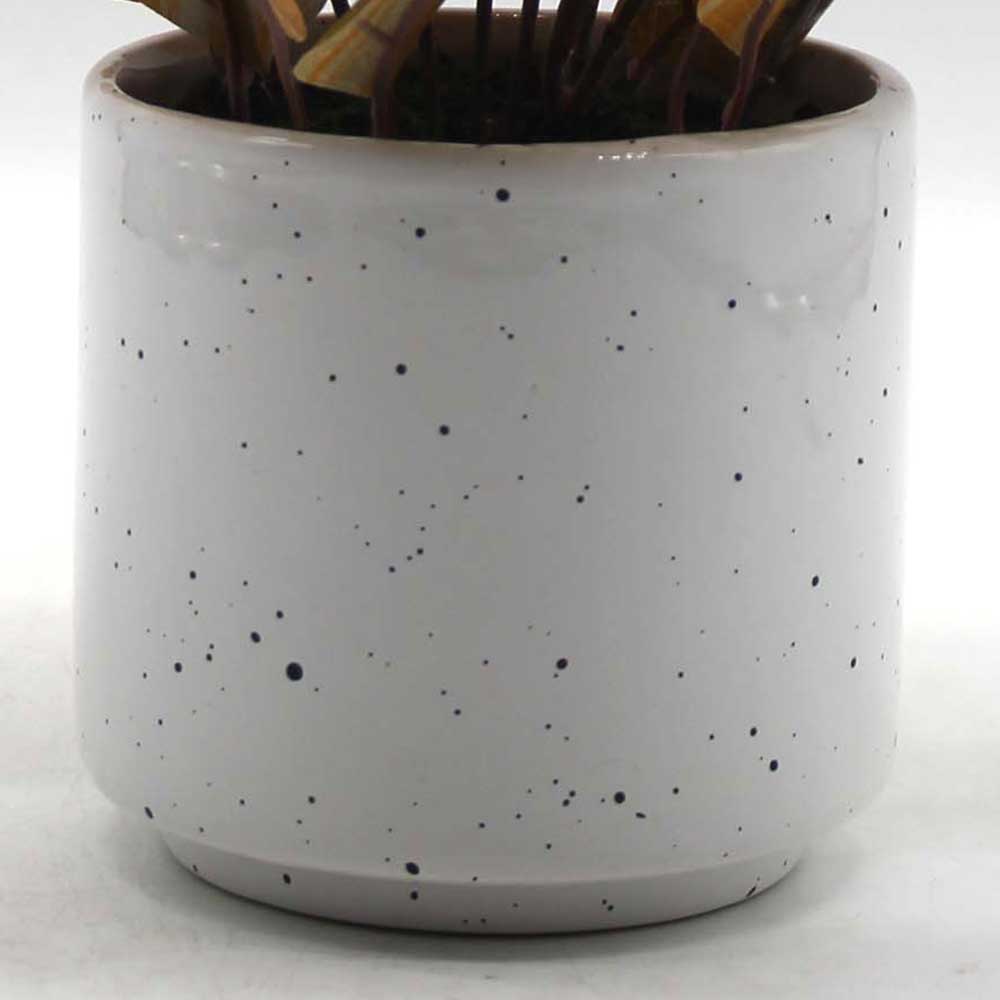 MC0208 Leaves in Pot