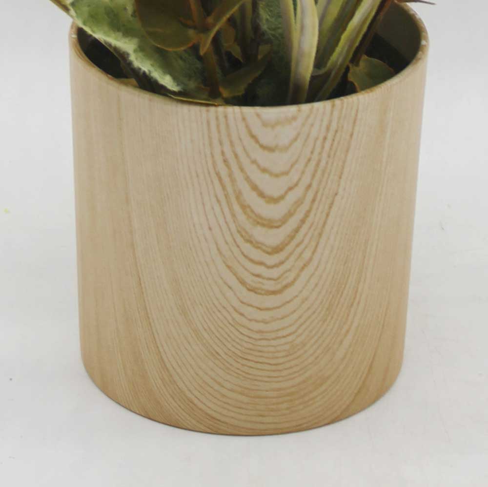 MC0293 Grass in Pot