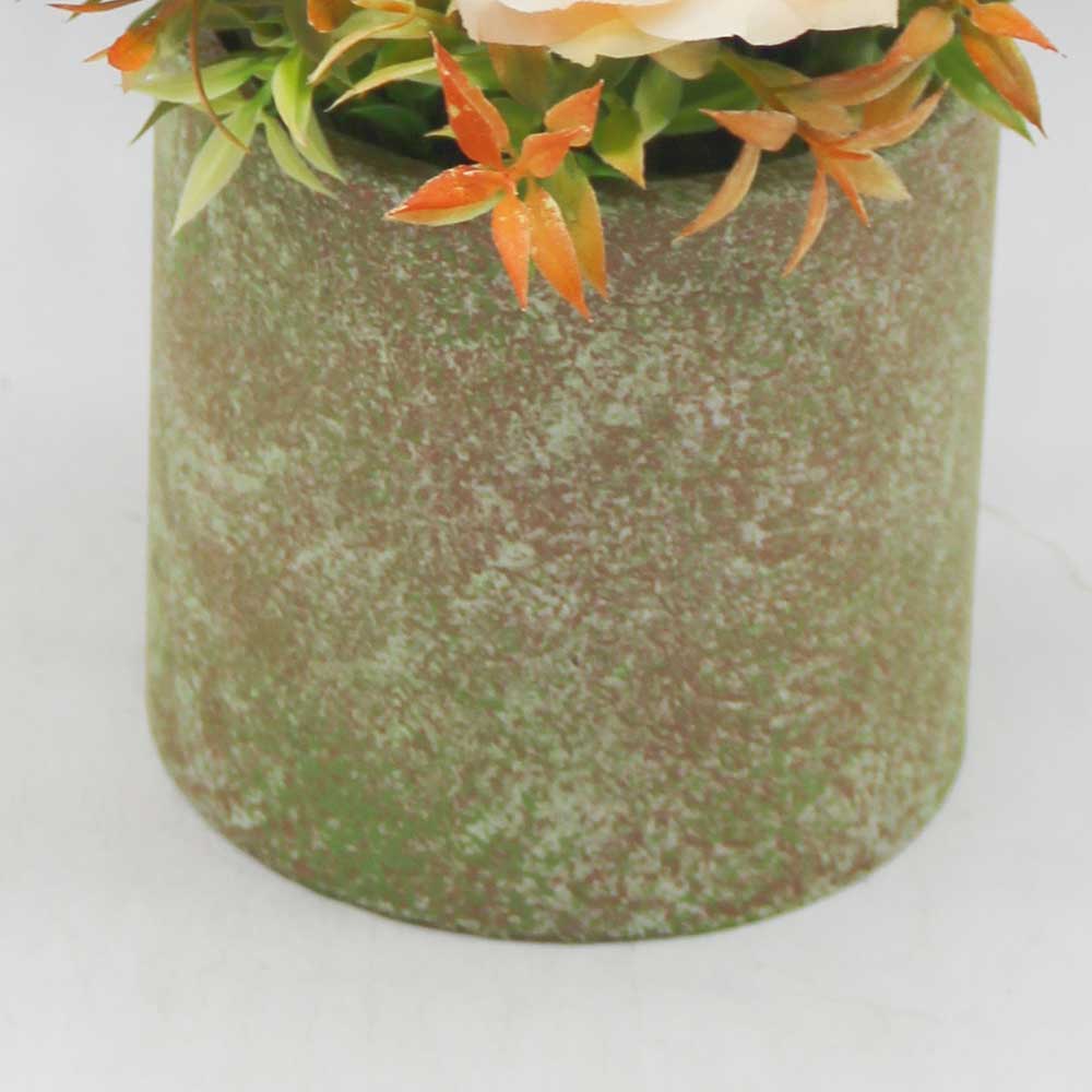 MC0294 Grass in Pot
