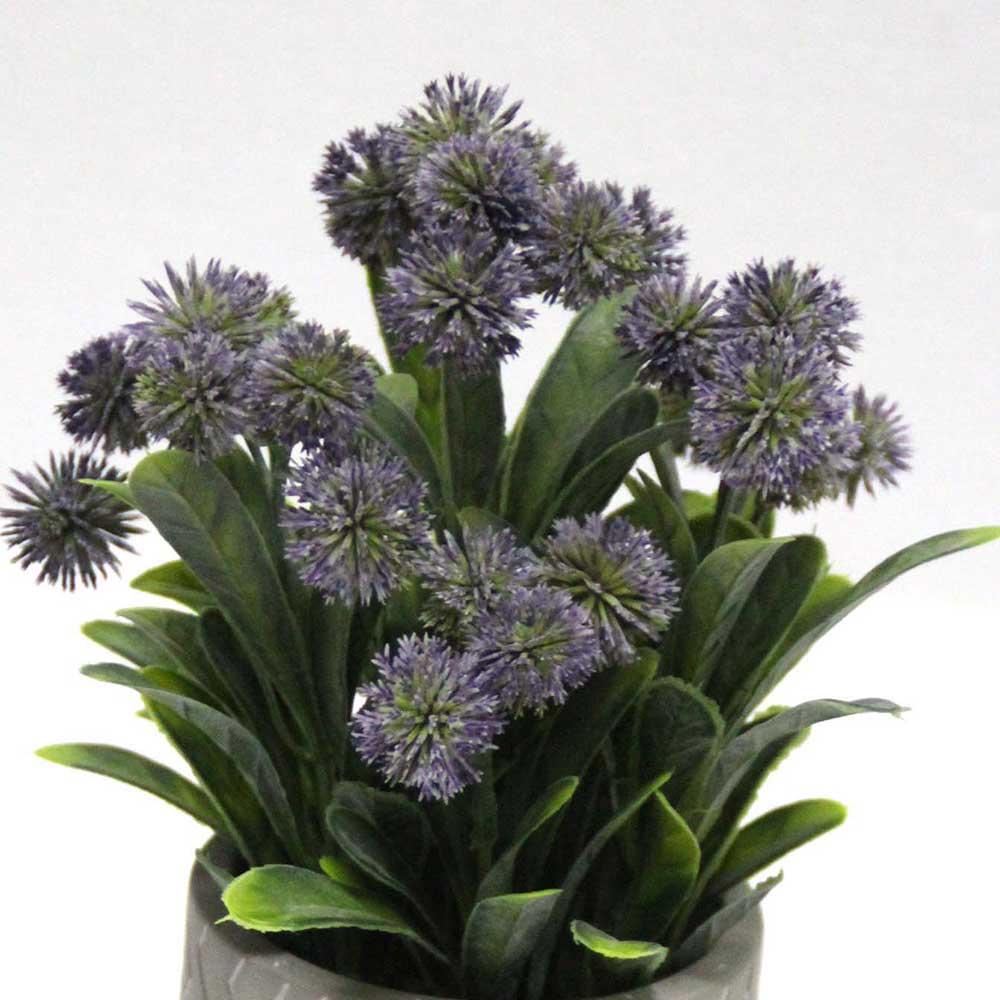 MC2642 Grass in Pot