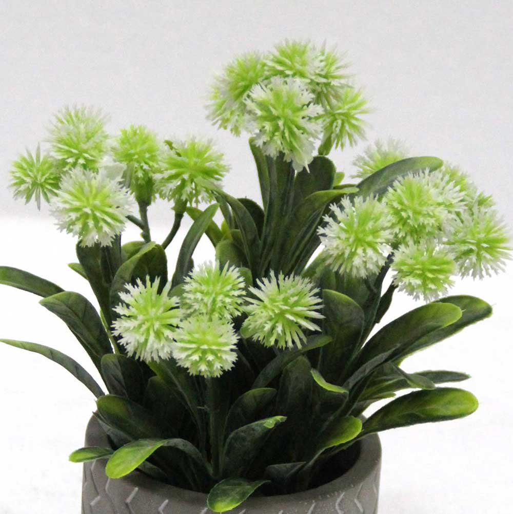 MC2642 Grass in Pot