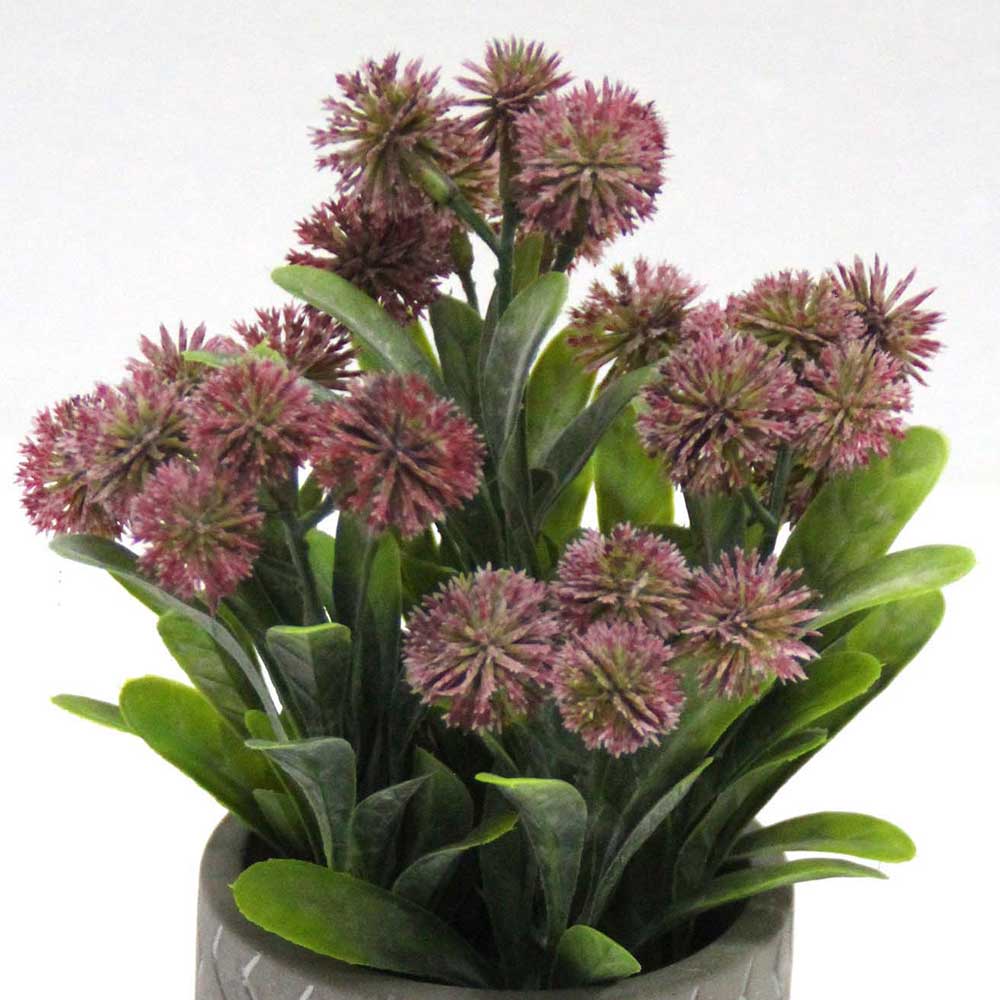 MC2642 Grass in Pot