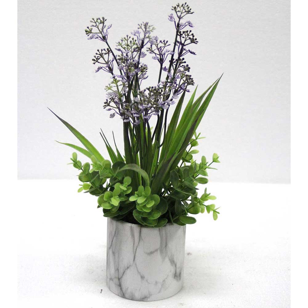 MC2659 Grass in Pot