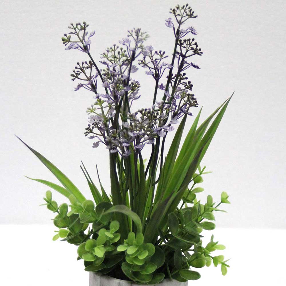 MC2659 Grass in Pot