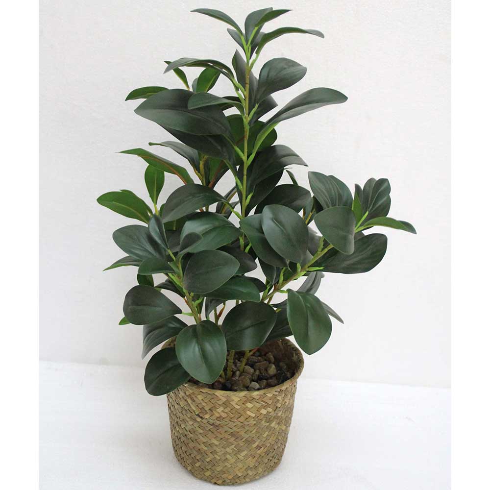 MC2613 Small Leaves Tree