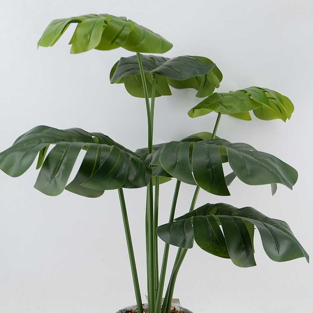 MC20-8808P 25＂H Monstera tree