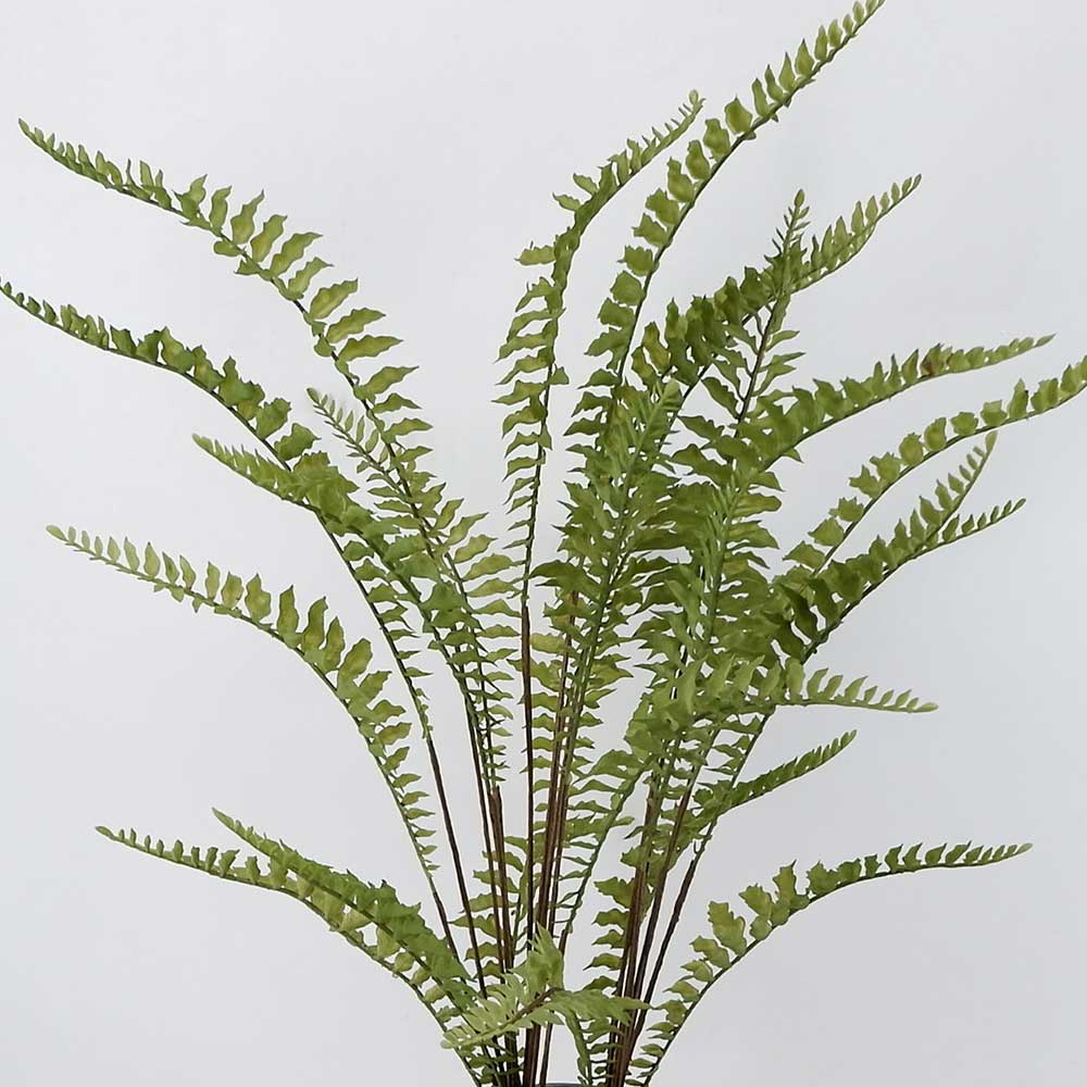 MC20-8846P 29＂H Fern Tree