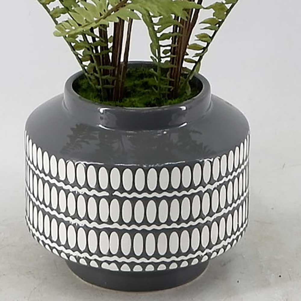 MC20-8846P 29＂H Fern Tree